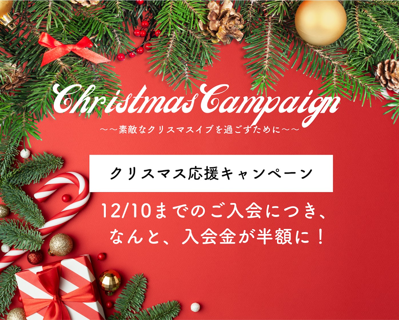 🎄Christmas Campaign🔔