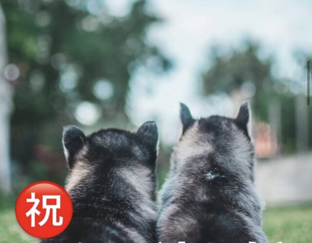 7.7.7の嬉しいご報告！ 
