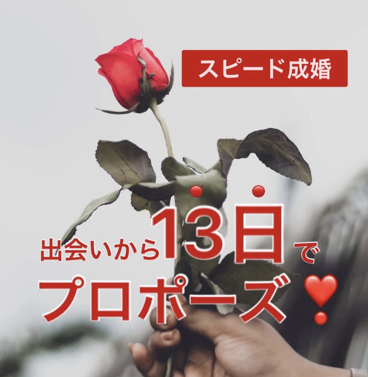 入会から13日の早期成婚